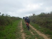 RIMG0249