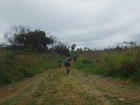 RIMG0320