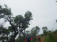 RIMG0375