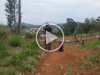 RIMG0383