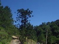 RIMG0544