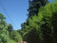 RIMG0545
