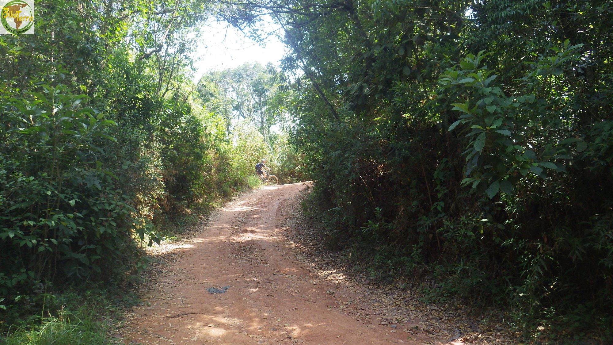 RIMG0558