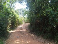 RIMG0558