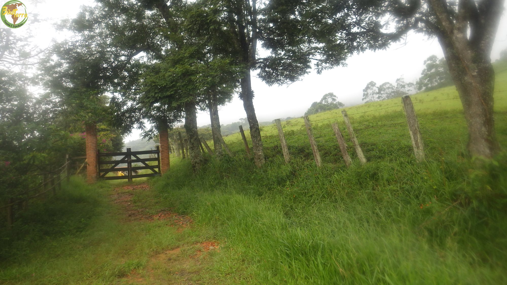 RIMG0753