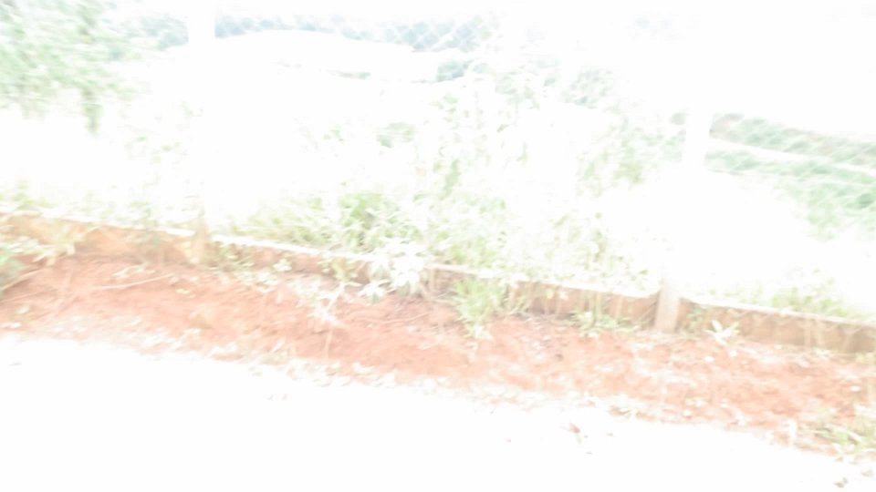 RIMG0728