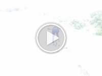 RIMG0736