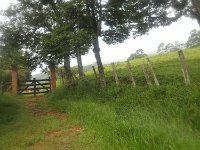 RIMG0753