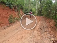 RIMG0755