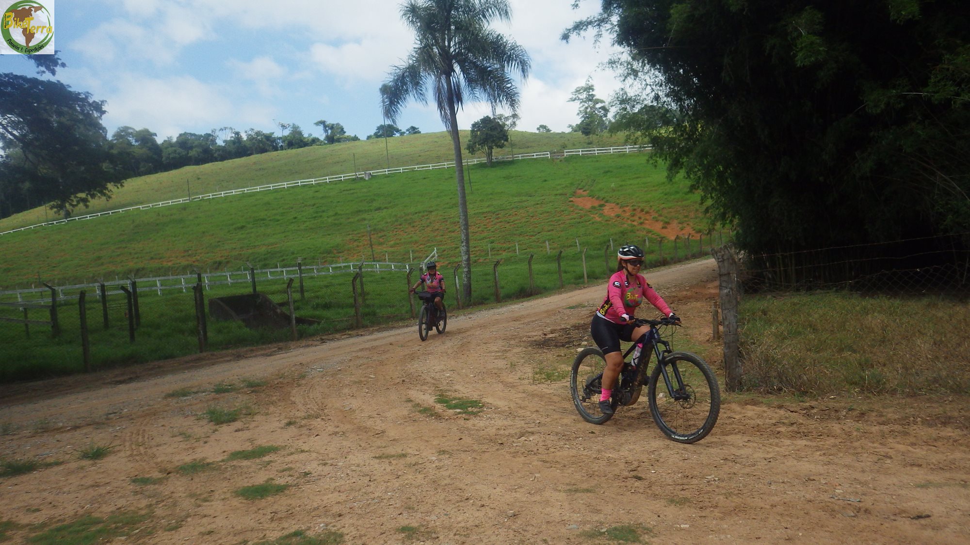 RIMG0785