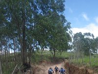 RIMG0779