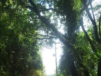 RIMG0792