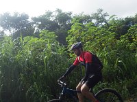 RIMG0811