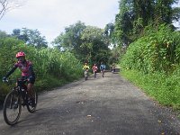 RIMG0812