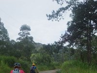 RIMG0884
