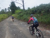 RIMG0885
