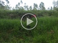 RIMG0889