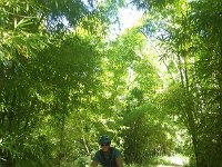 RIMG0952