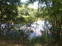 RIMG0953