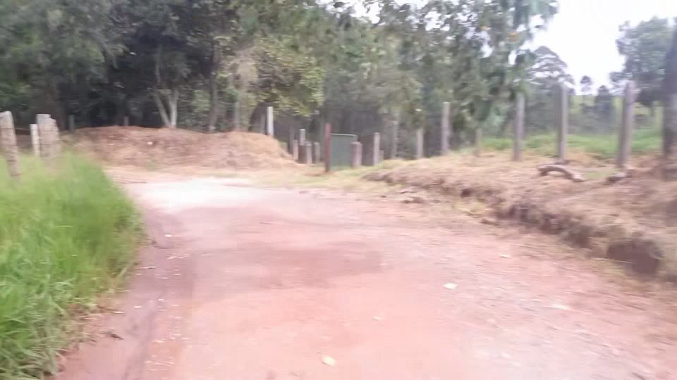 RIMG0976