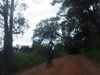 RIMG0969
