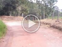 RIMG0976