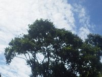 RIMG0982