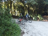 RIMG1175