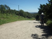 RIMG1232