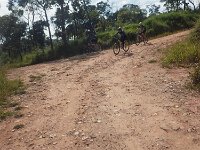 RIMG1246