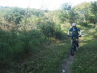 RIMG1289