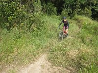 RIMG1309