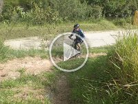 RIMG1313