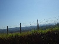 RIMG0040