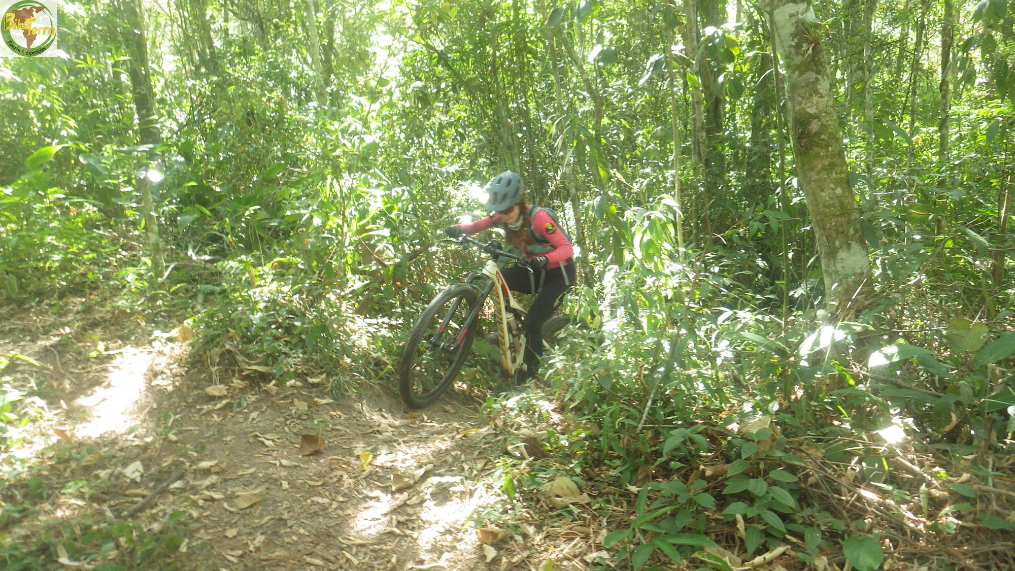 RIMG0016
