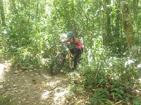RIMG0016