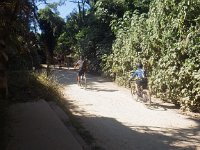 RIMG0086