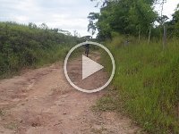 RIMG0164